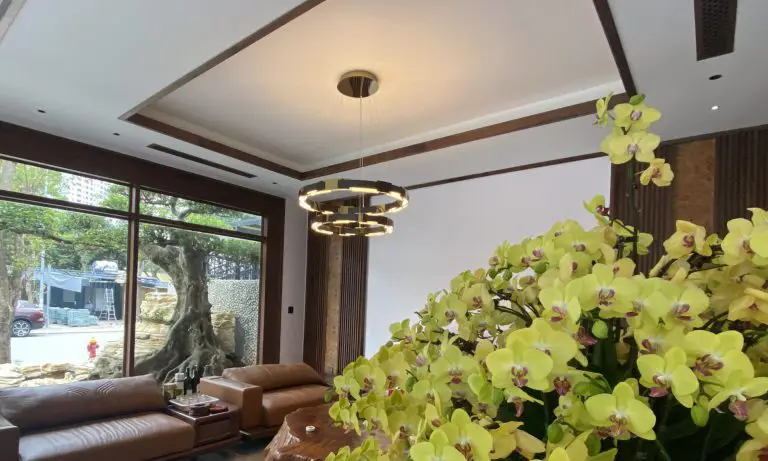 PONDO VIỆT NAM x NỘI THẤT ANH ĐOÀN